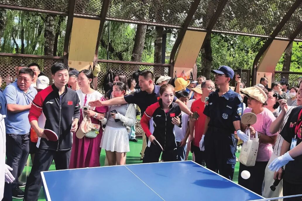 首页- Z6官网中国区人生就是博